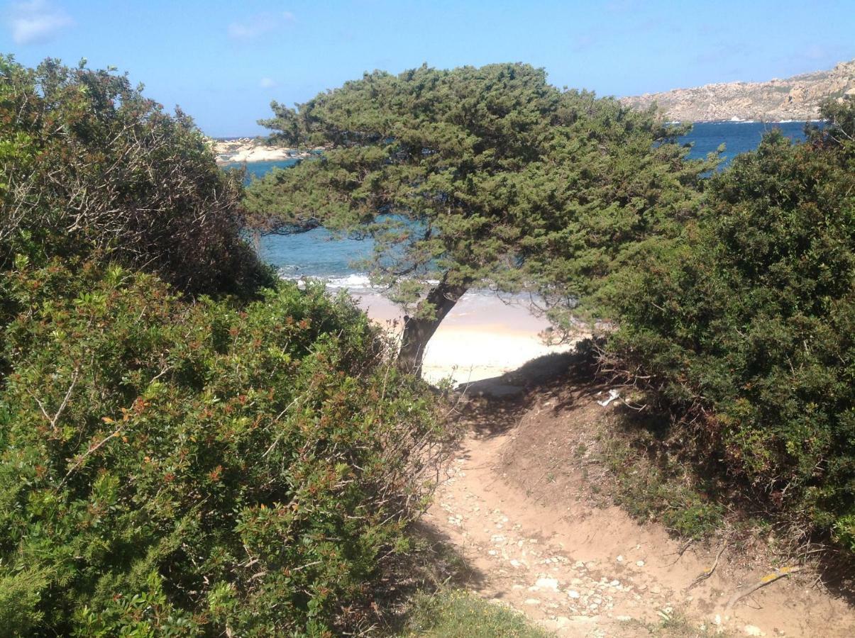 Stella Maris Leilighet Santa Teresa Gallura Eksteriør bilde