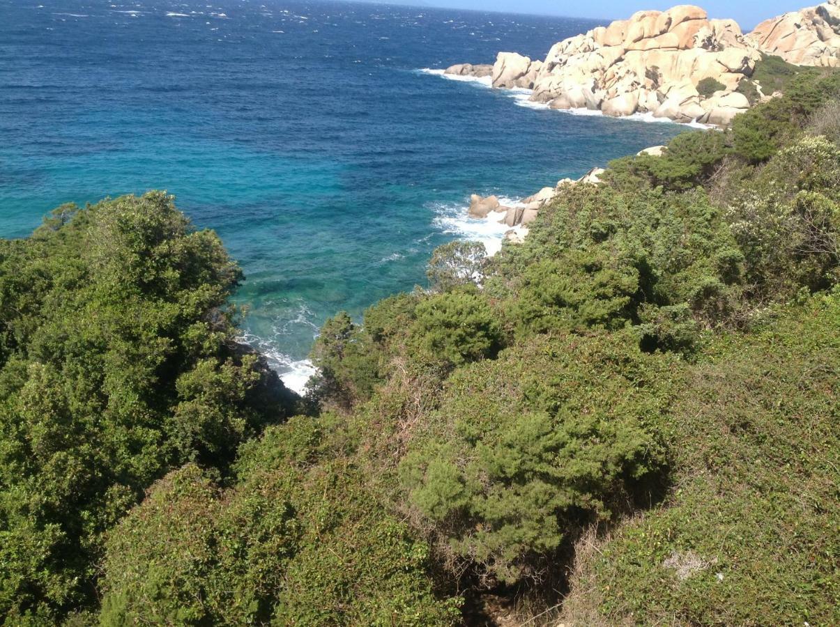 Stella Maris Leilighet Santa Teresa Gallura Eksteriør bilde